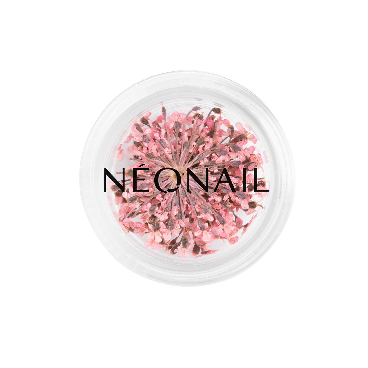 Dried flowers 01- Pink