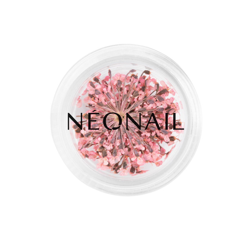 Dried flowers 01- Pink
