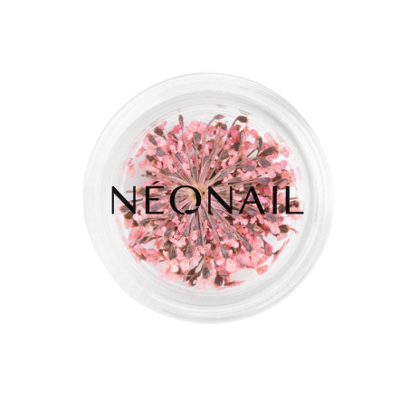 Dried flowers 01- Pink