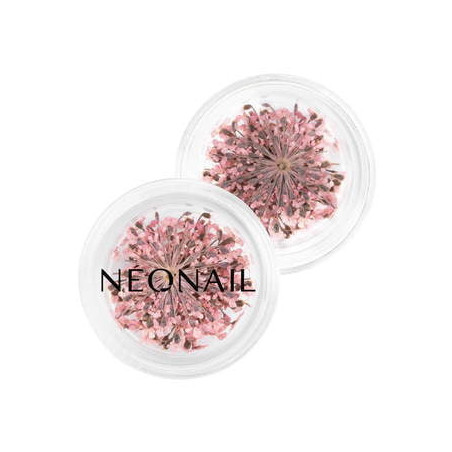 Dried flowers 01- Pink
