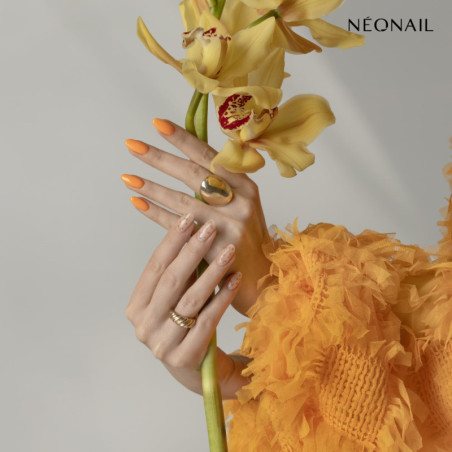 Dried flowers 03- Orange