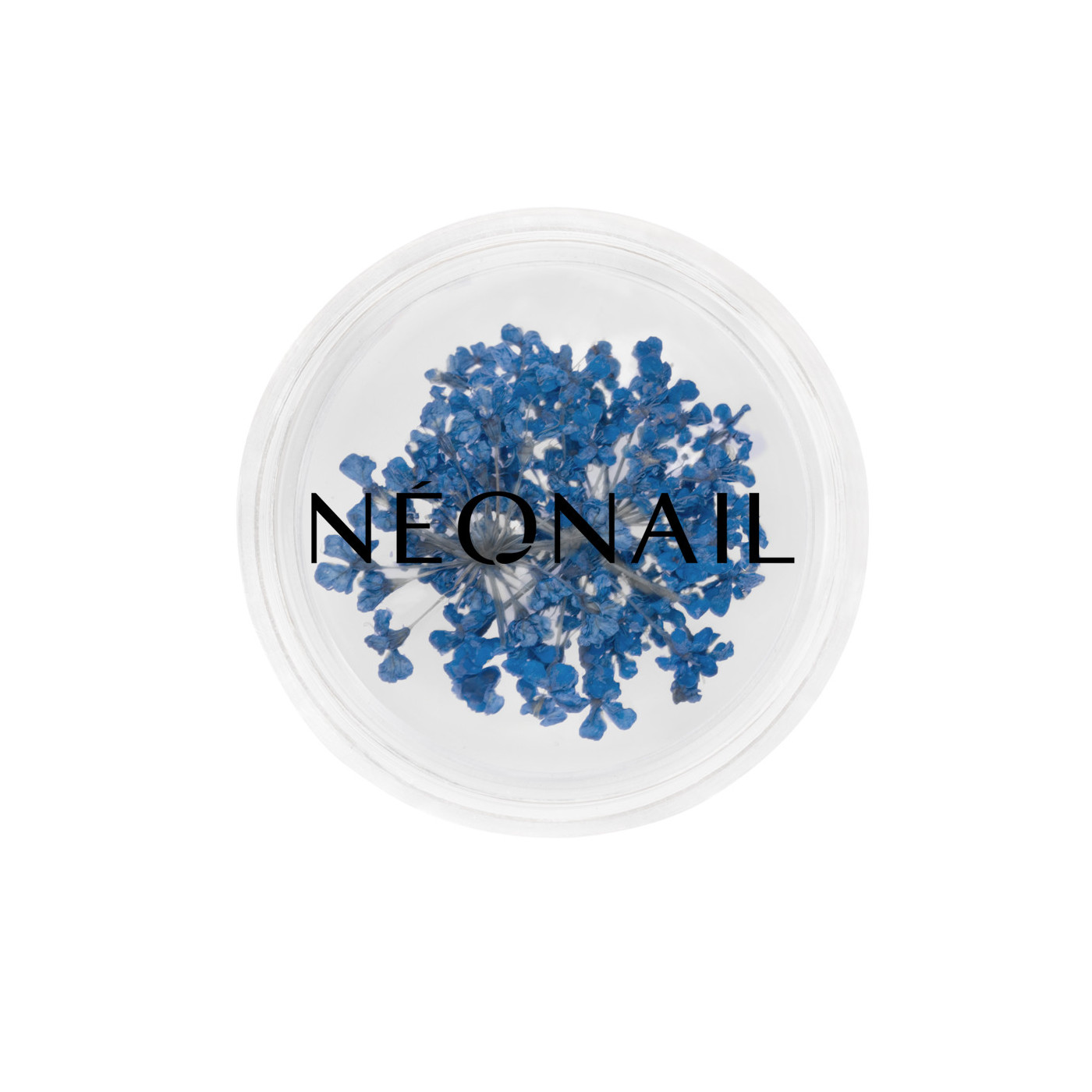 Dried flowers 04- Navy kaufen