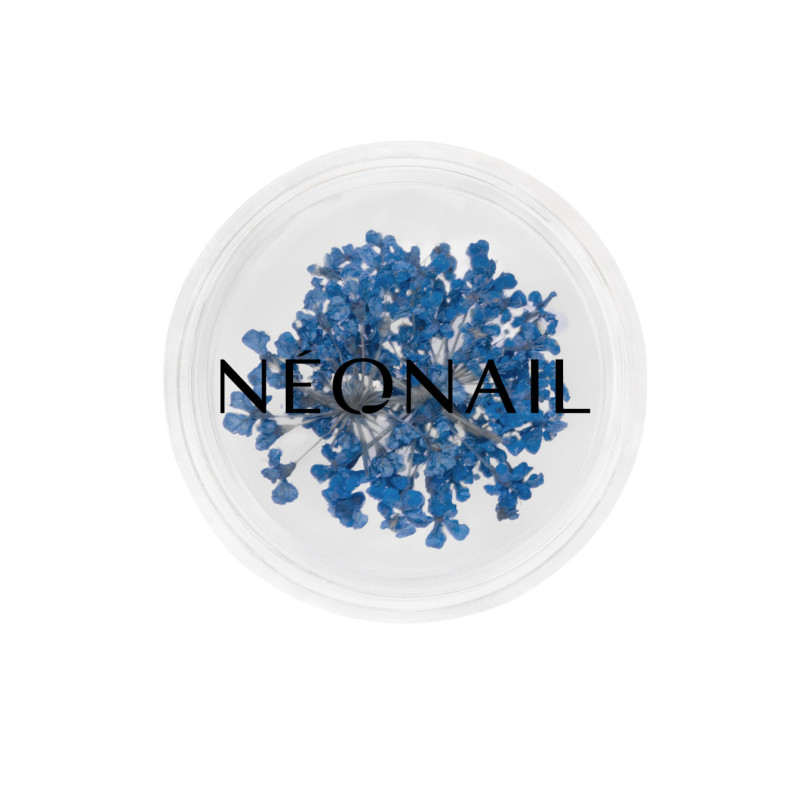 Dried flowers 04- Navy kaufen
