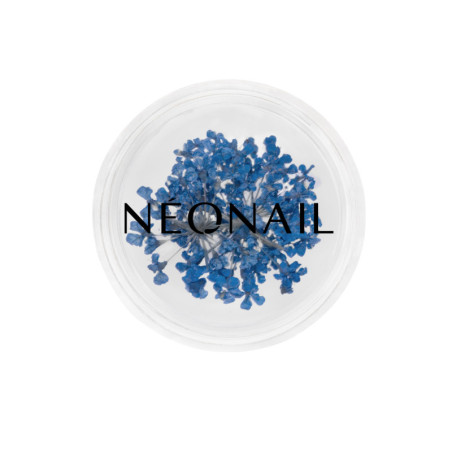 Dried flowers 04- Navy kaufen