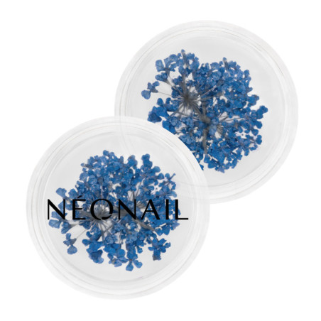Dried flowers 04- Navy kaufen
