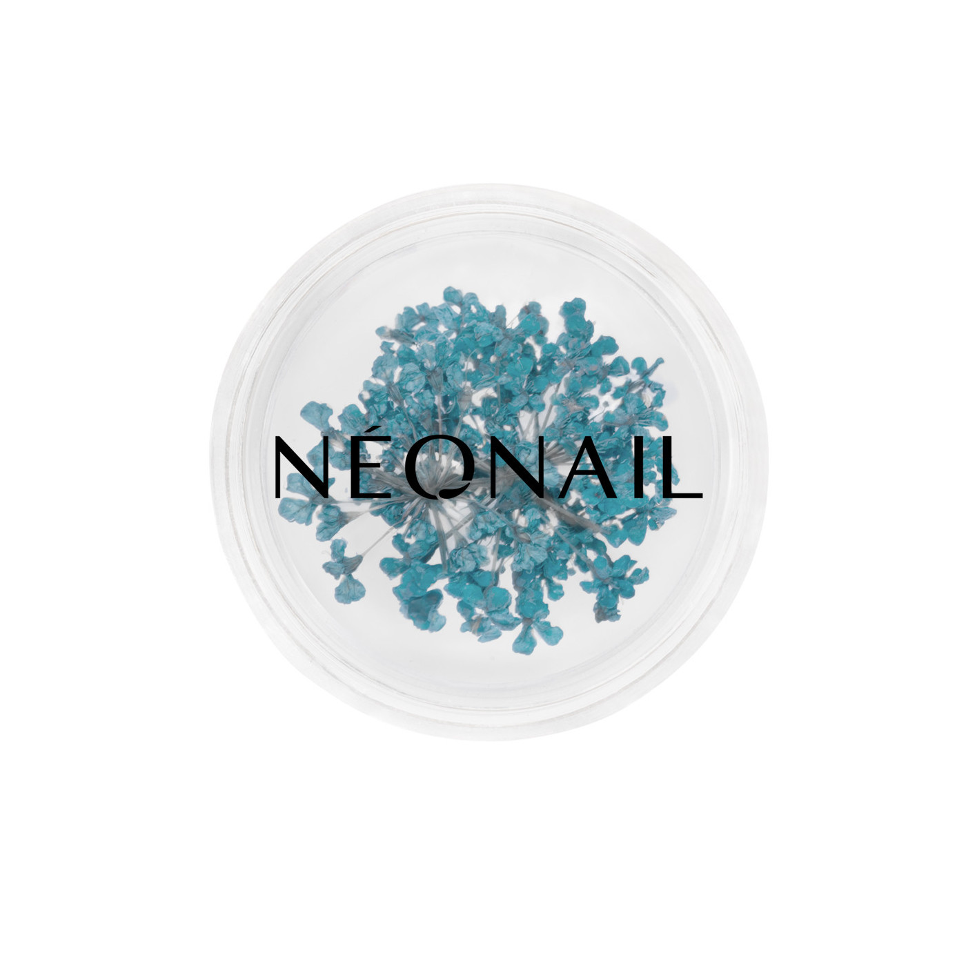 Dried flowers 05- Turquoise kaufen